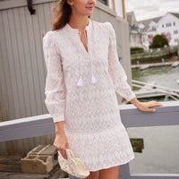 Blush Embroidered Ruffle Hem Dress