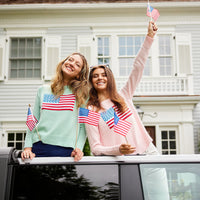 Blush Cropped Flag Sweater