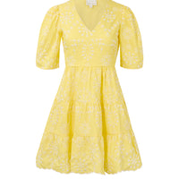 Amy Eyelet Dress