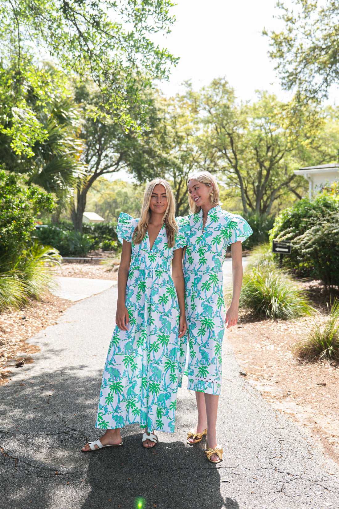 Elephant Print V-Neck Flutter Sleeve Maxi Dress