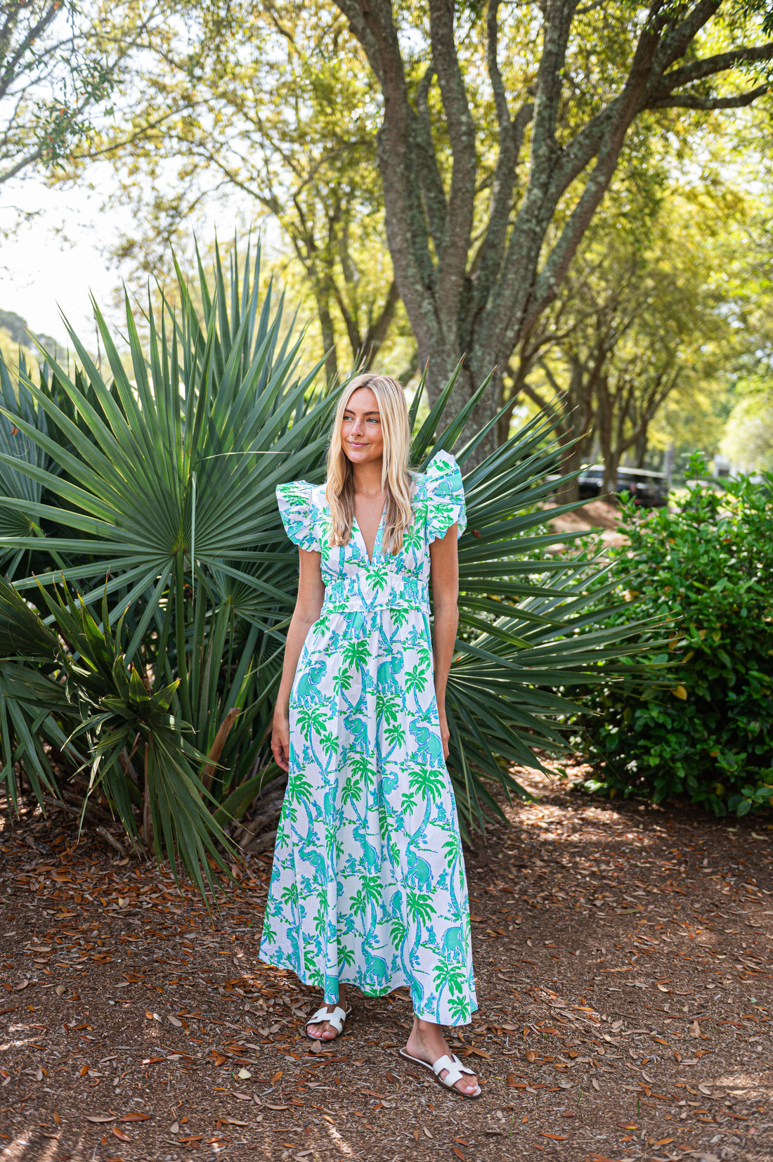 Elephant Print V-Neck Flutter Sleeve Maxi Dress