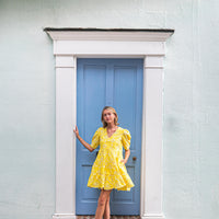 Amy Eyelet Dress