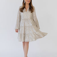 Silver Sequin Charlotte Dress