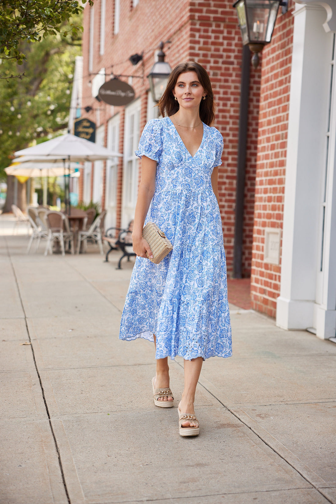 Blue & White Rose Printed Eyelet V-Neck Midi Dress