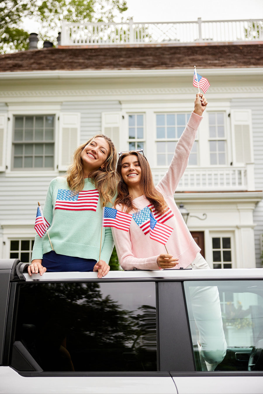 Blush Cropped Flag Sweater