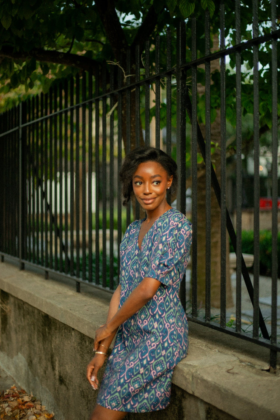 Ikat Print V-Neck Puff Sleeve Dress