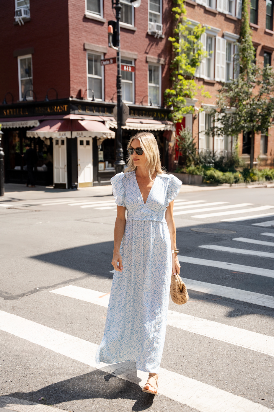 Animal Print V-Neck Flutter Sleeve Maxi Dress